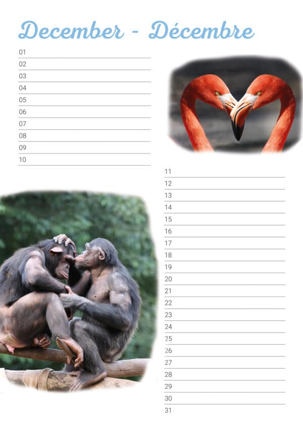 Calendrier d'anniversaire 'Animals in Love' Décembre