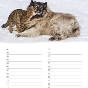 Calendrier d'anniversaire 'Animals in Love' Janvier