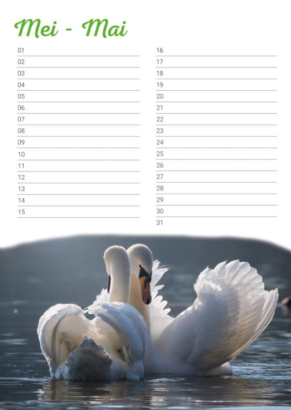 Calendrier d'anniversaire 'Animals in Love' Mai