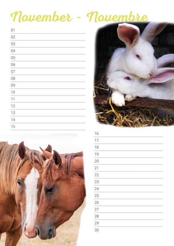 Calendrier d'anniversaire 'Animals in Love' Novembre