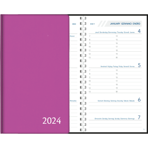 Agenda Visuplan 2024 perl - violet