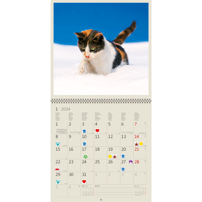 Calendrier mural Cats 2024 - Janvier