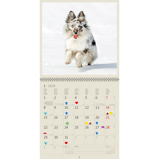 Calendrier mural Dogs 2024 - Janvier