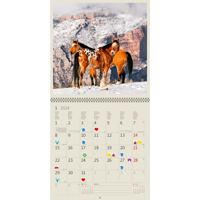 Calendrier mural Horses 2024 – Janvier