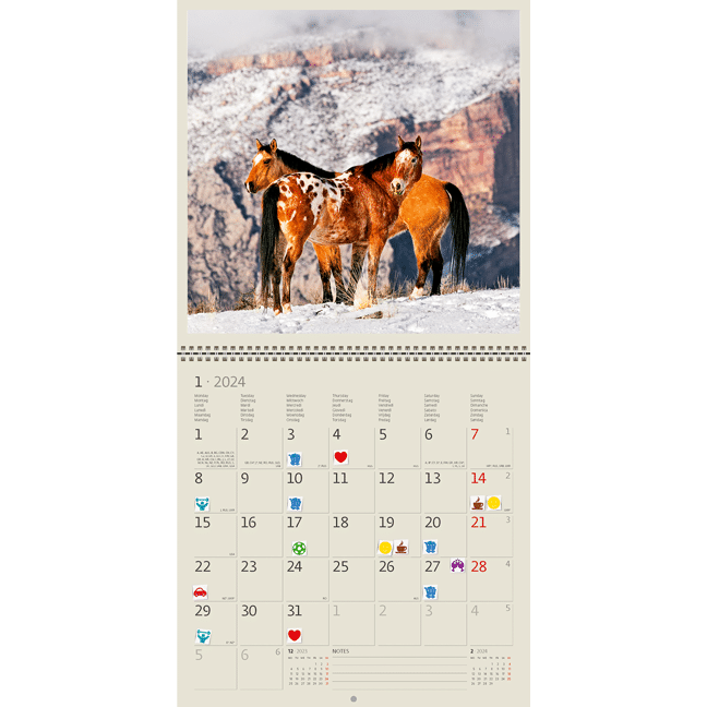 Calendrier mural Calendrier des chevaux - Dream Horses 2024