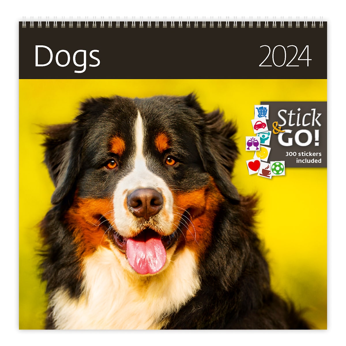 Calendrier mural Dogs 2024