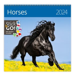 Calendrier mural Horses 2024