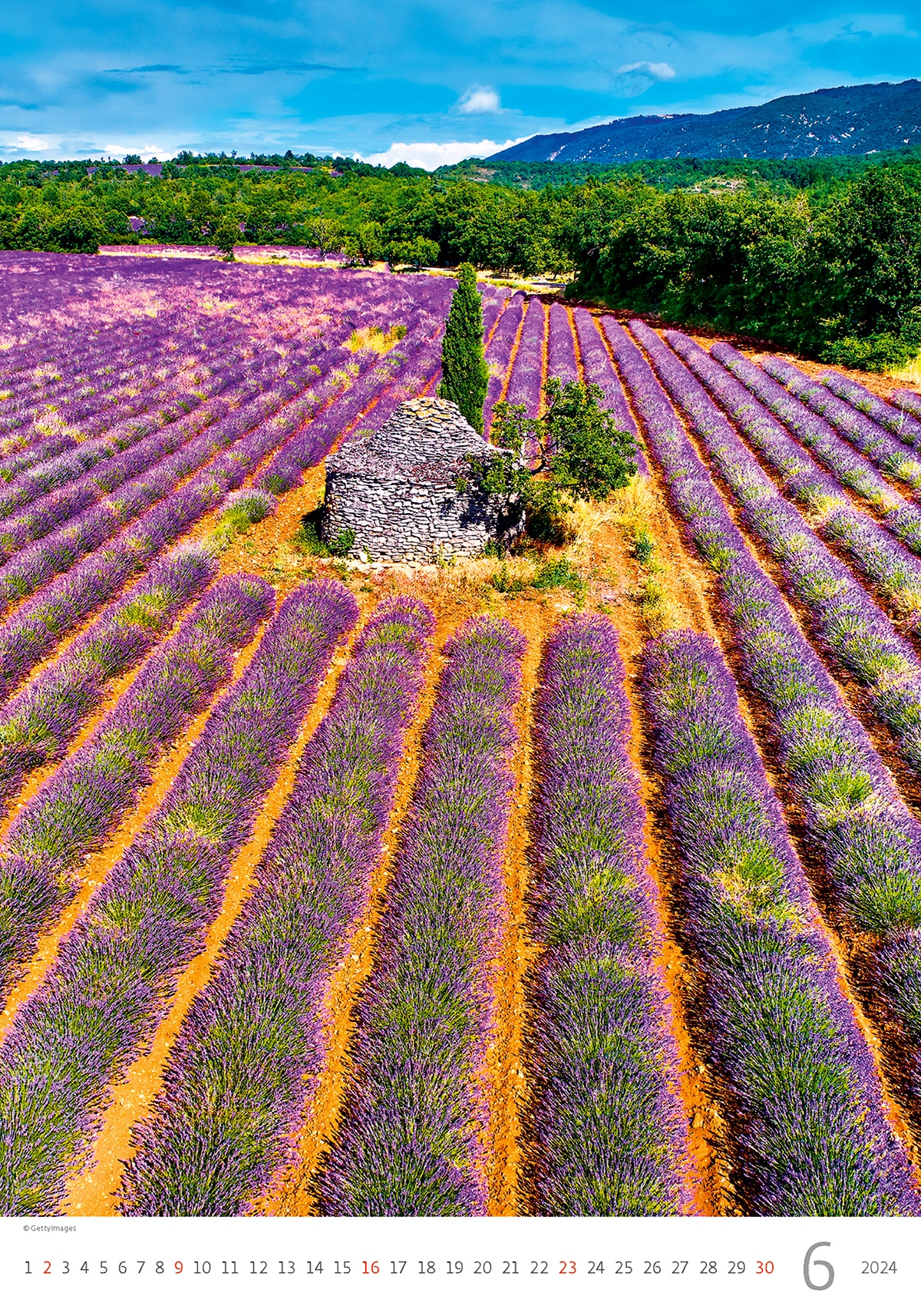 Les Alpilles en Provence (Calendrier mural 2024 DIN A4 vertical