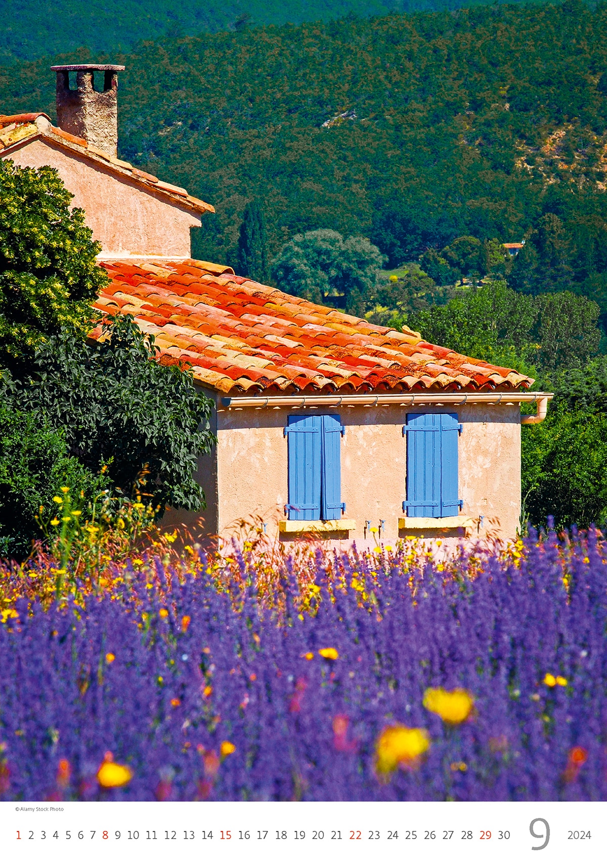 Calendrier mural Provence 2024 - Septembre