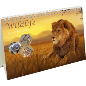 Calendrier de bureau Wildlife 2024