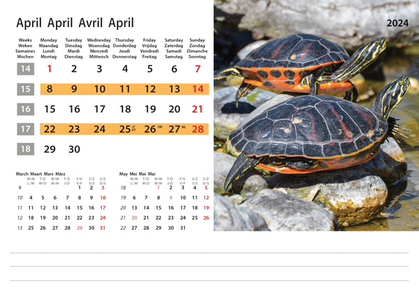 Calendrier de bureau Wildlife 2024 