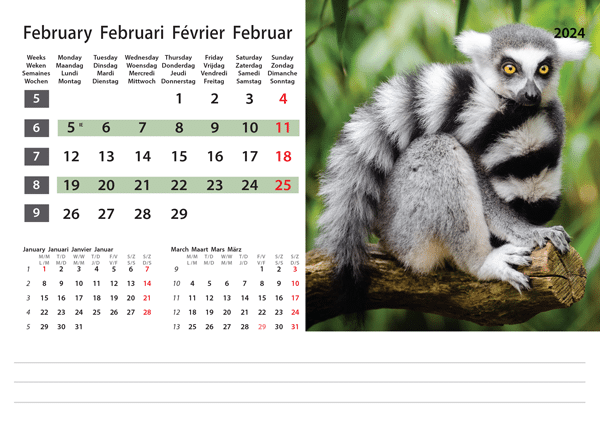 Calendrier de bureau Wildlife 2024 