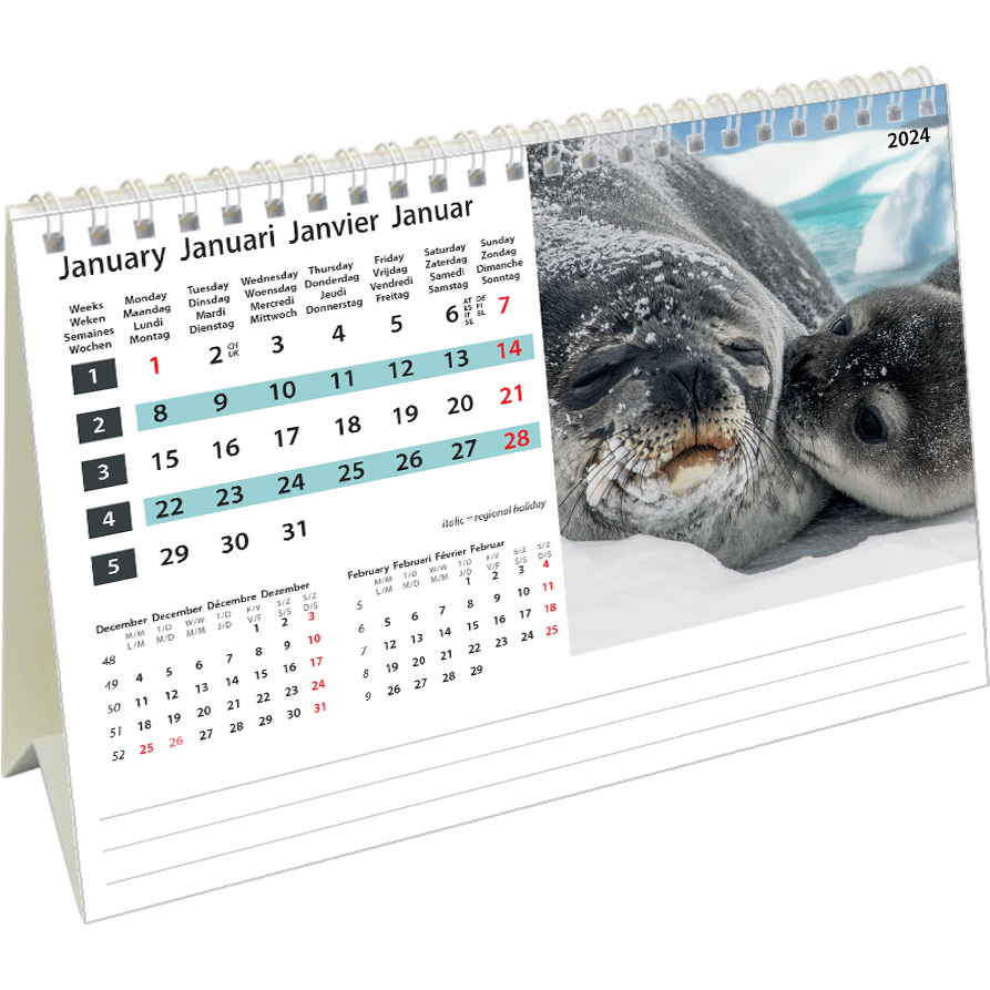 Calendrier de bureau Wildlife 2024 – Janvier
