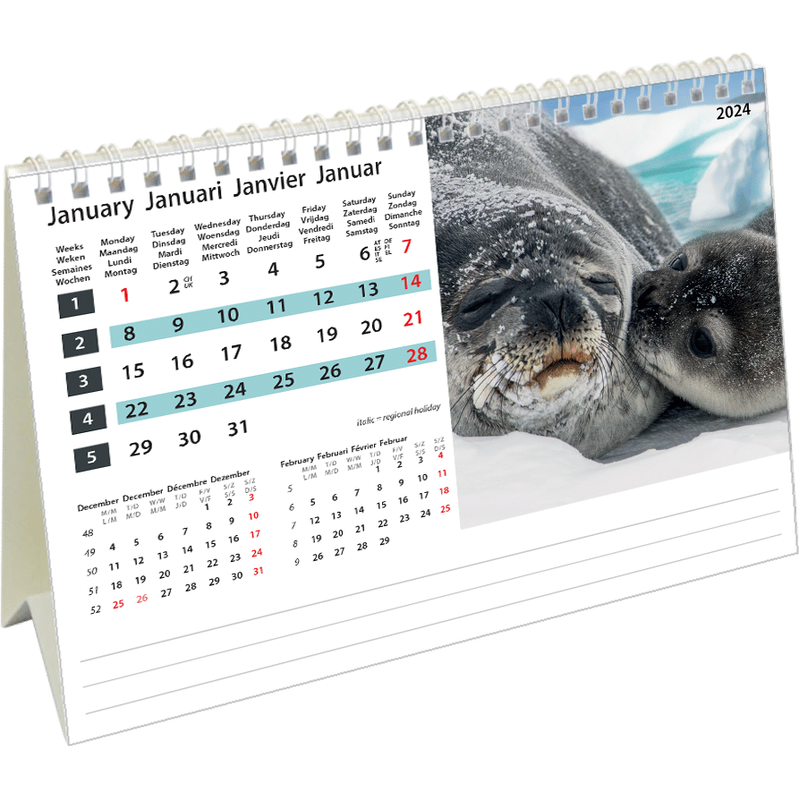 Calendrier de bureau Wildlife 2024 - Janvier