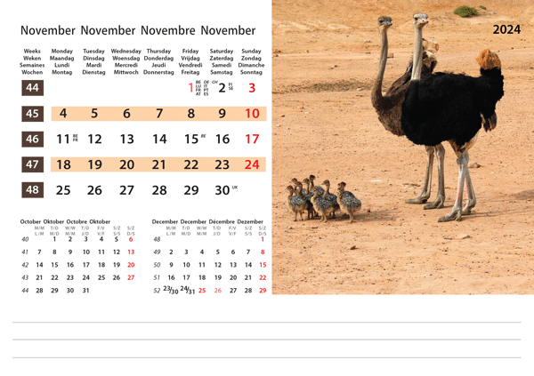 Calendrier de bureau Wildlife 2024 – Novembre