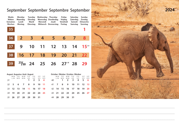 Calendrier de bureau Wildlife 2024 - Septembre