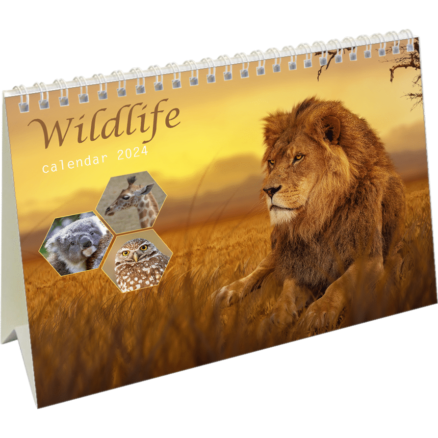 Calendrier de bureau Wildlife 2024 