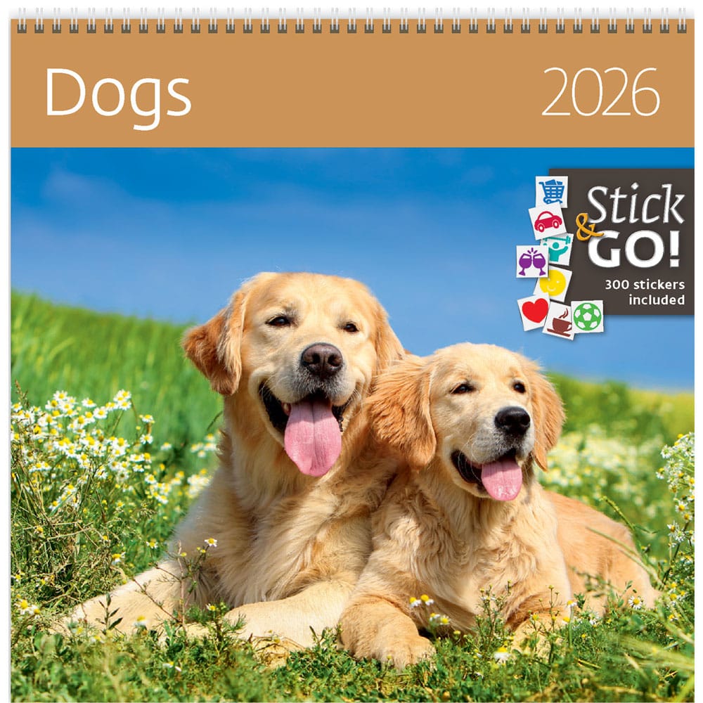 Calendrier mural Dogs 2026
