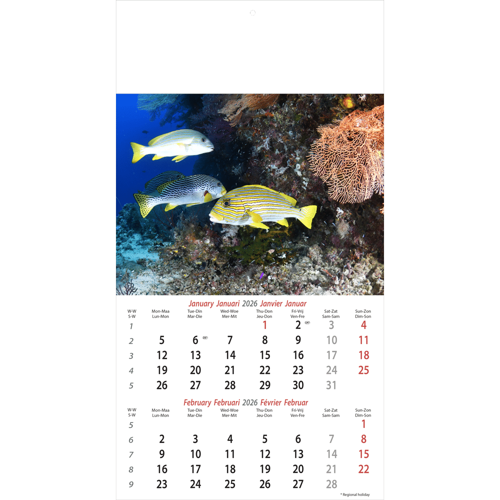 Calendrier mural Ocean Wonders 2026