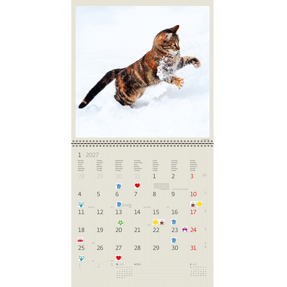 Calendrier mural Cats 2027 - Janvier