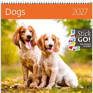 Calendrier mural Dogs 2027