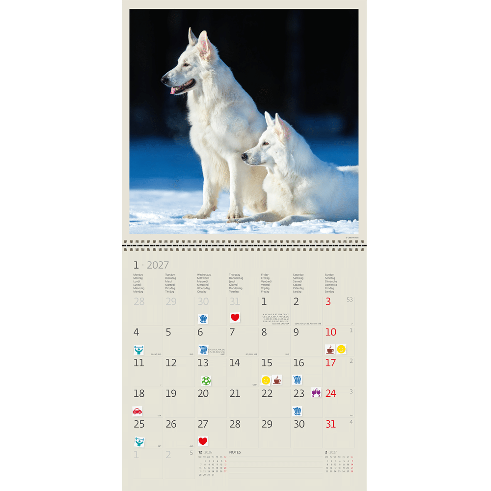 Calendrier mural Dogs 2027 - Janvier