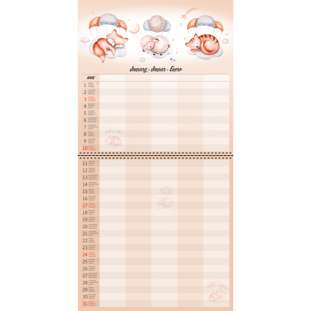 Calendrier mural Family Planner 2027 - Janvier complet