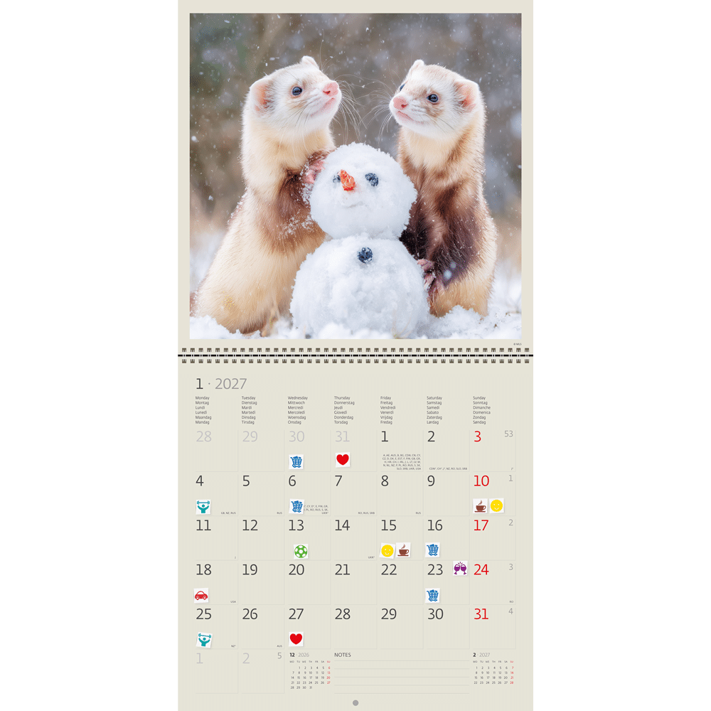 Calendrier mural Little Fun 2027 - Janvier