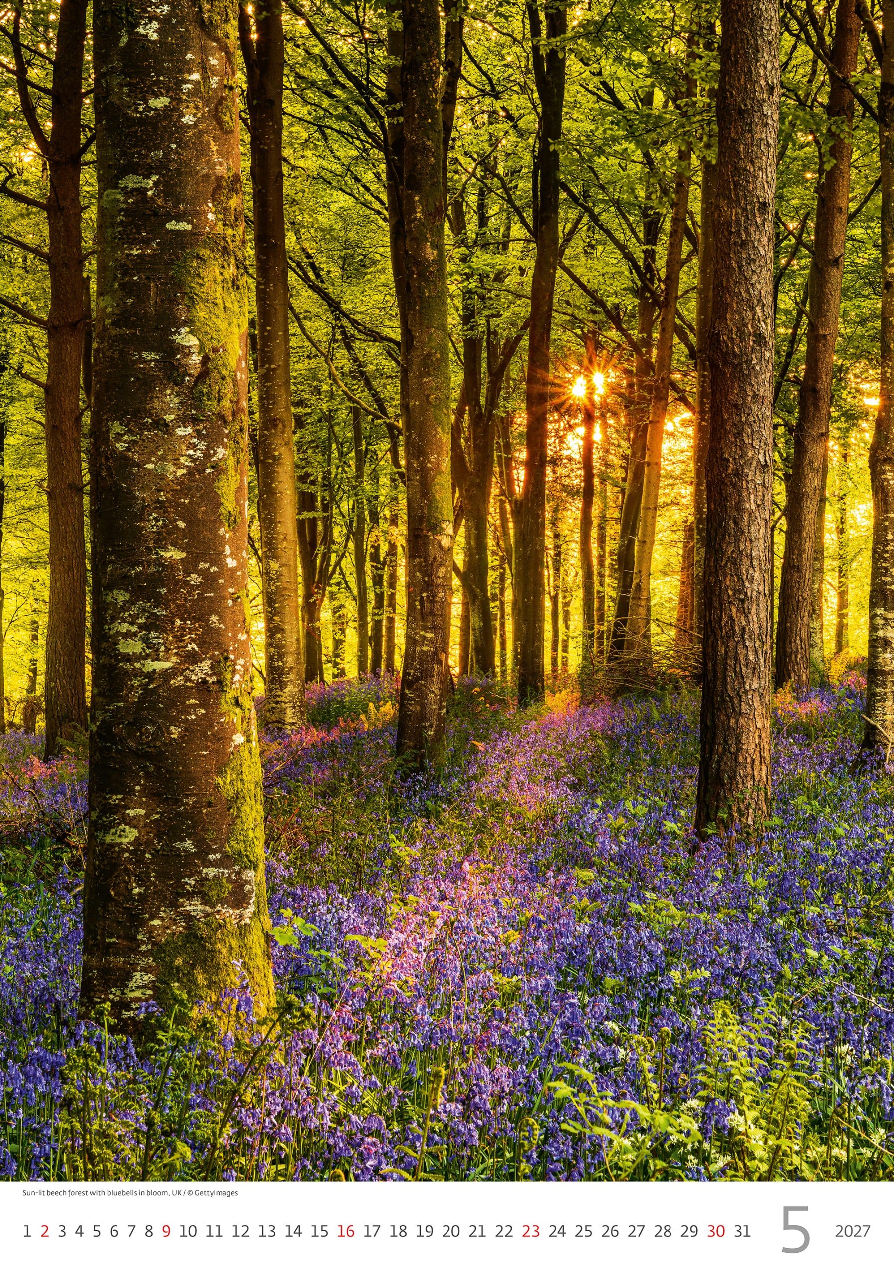 Calendrier mural Nature Emotions 2027 - Mai Calendrier mural Nature Emotions 2027 - Mai