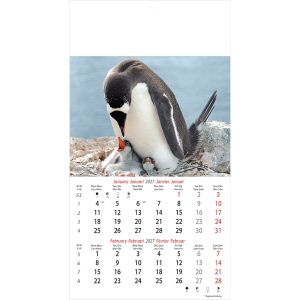 Calendrier mural Wildlife 2027