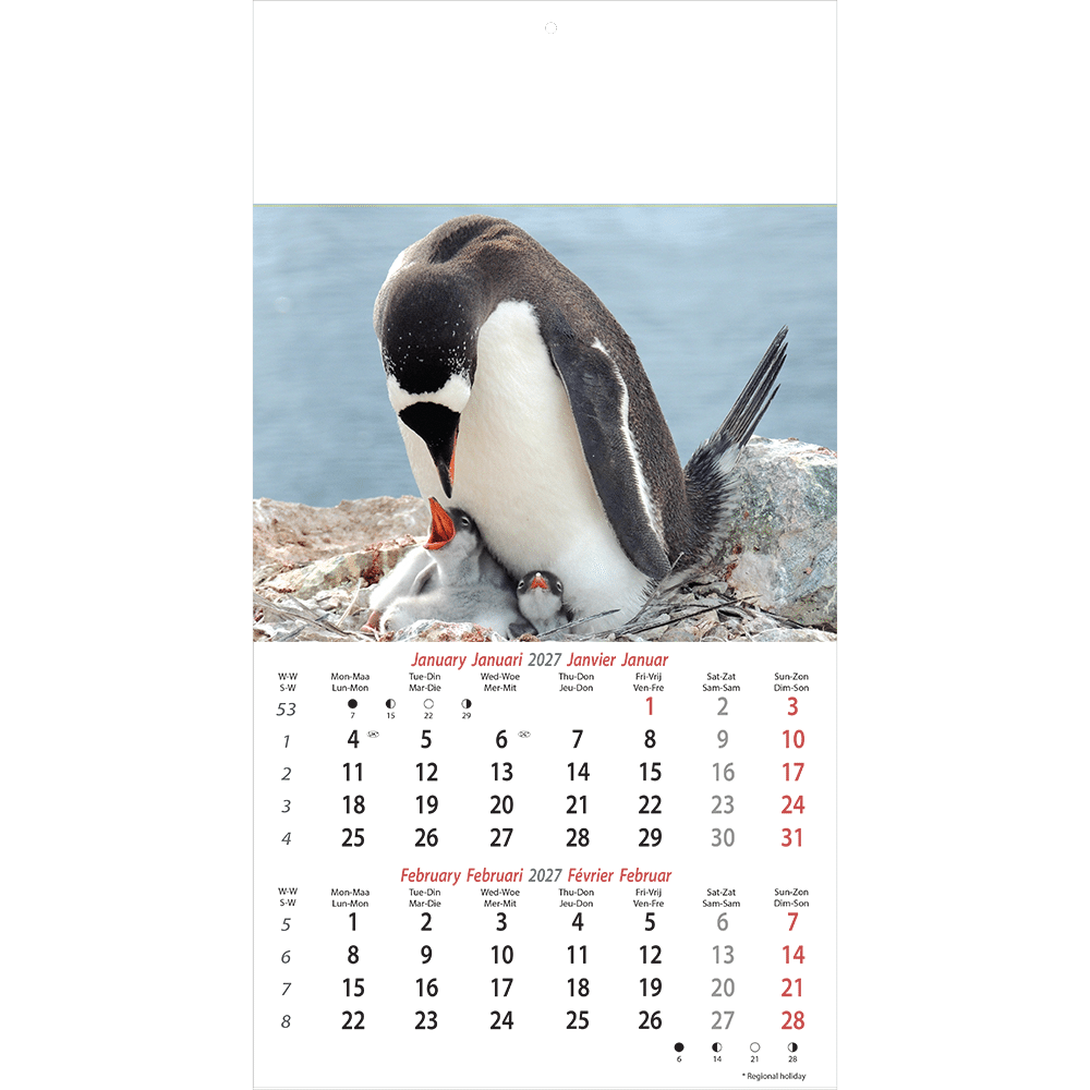 Calendrier mural Wildlife 2027