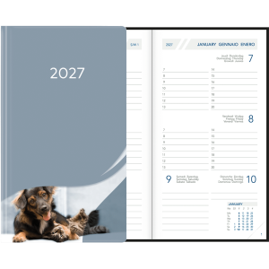 Visuplan 2027 Hardcover gris