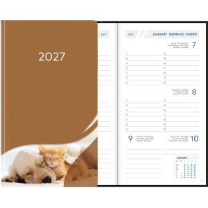 Visuplan 2027 Hardcover brun