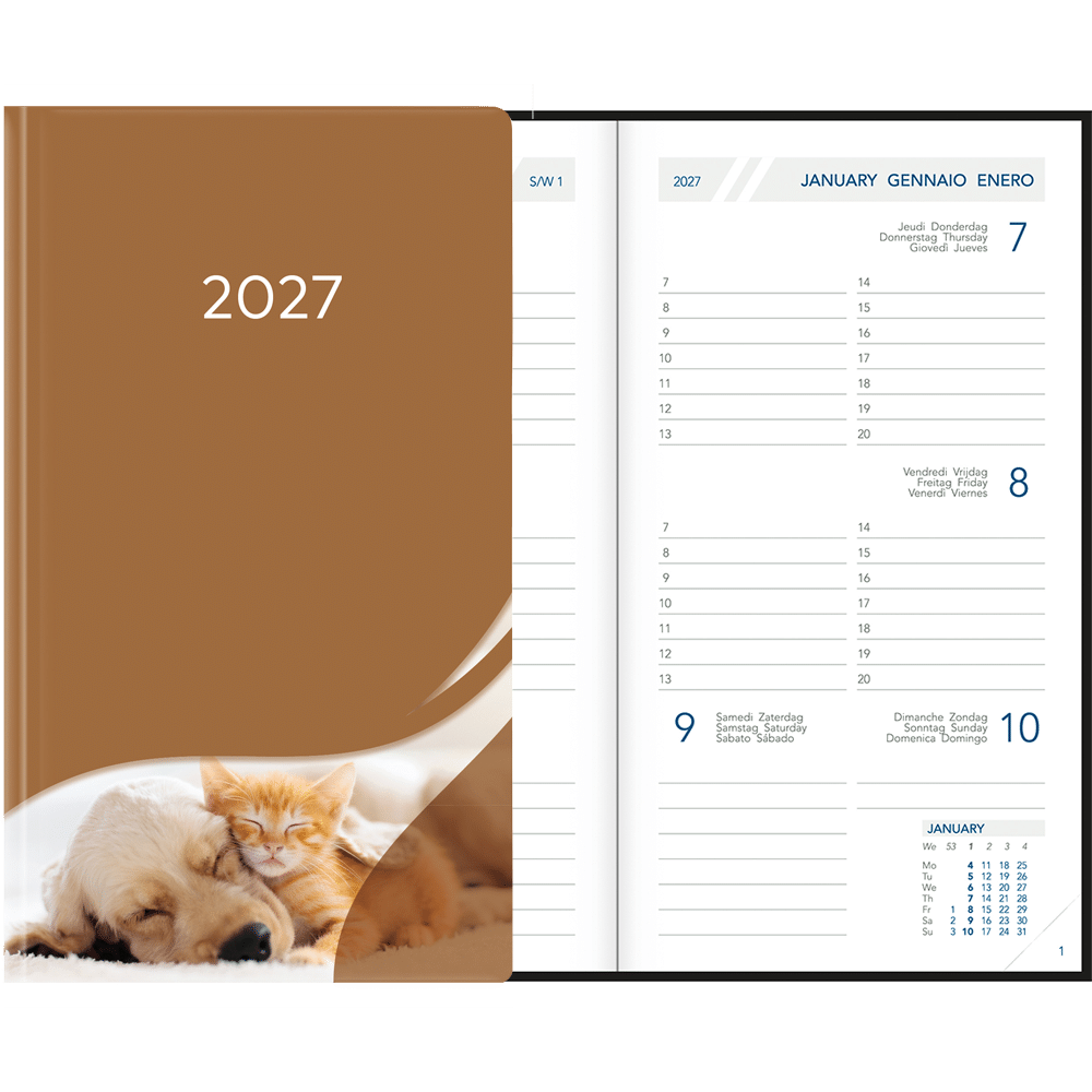Visuplan 2027 Hardcover brun