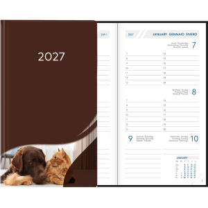 Visuplan 2027 Hardcover brun foncé